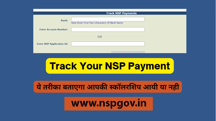 nsp track payment