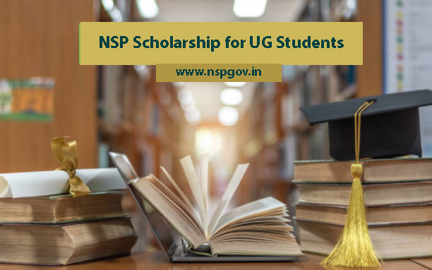 nsp scholarship amount for ug students
