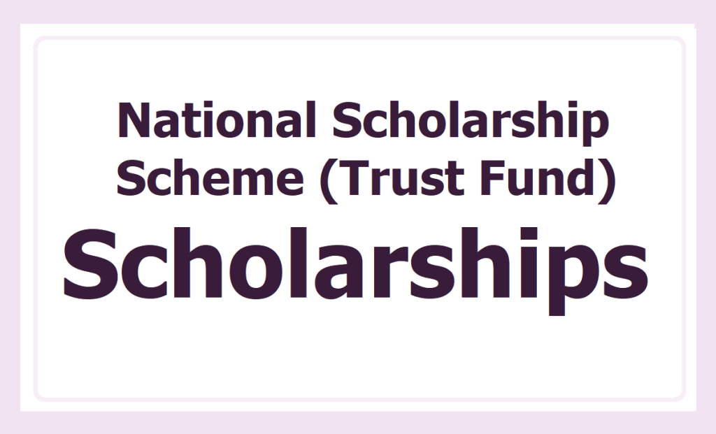 National Scholarship Website 2024 - NSP 2.0 Login, Qualification, Last Day, Online Form