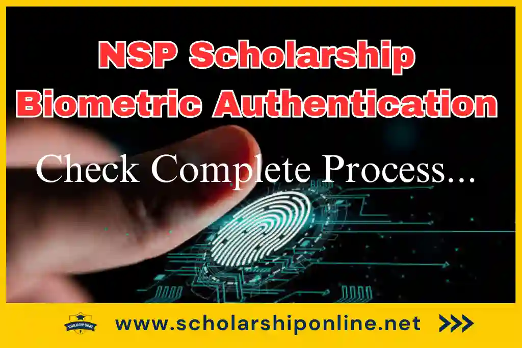 NSP Scholarship Biometric Verification: Inspect Complete Refine