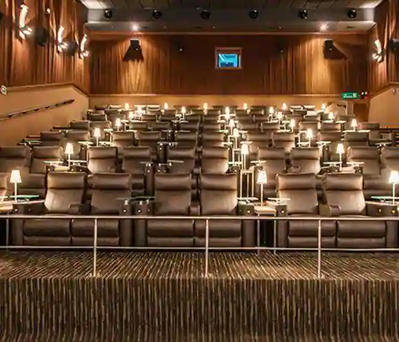 Netaji Subhash Area Movies Theatres