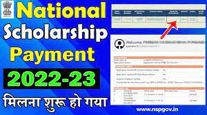 NSP Scholarship Settlement Launch Date 2024 