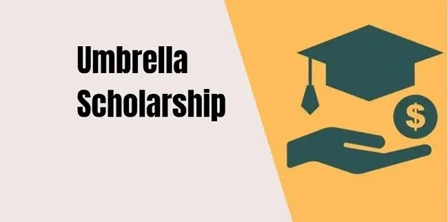 Umbrella Scholarship 2024: Pre/Post Matric Scholarship Apply Online 