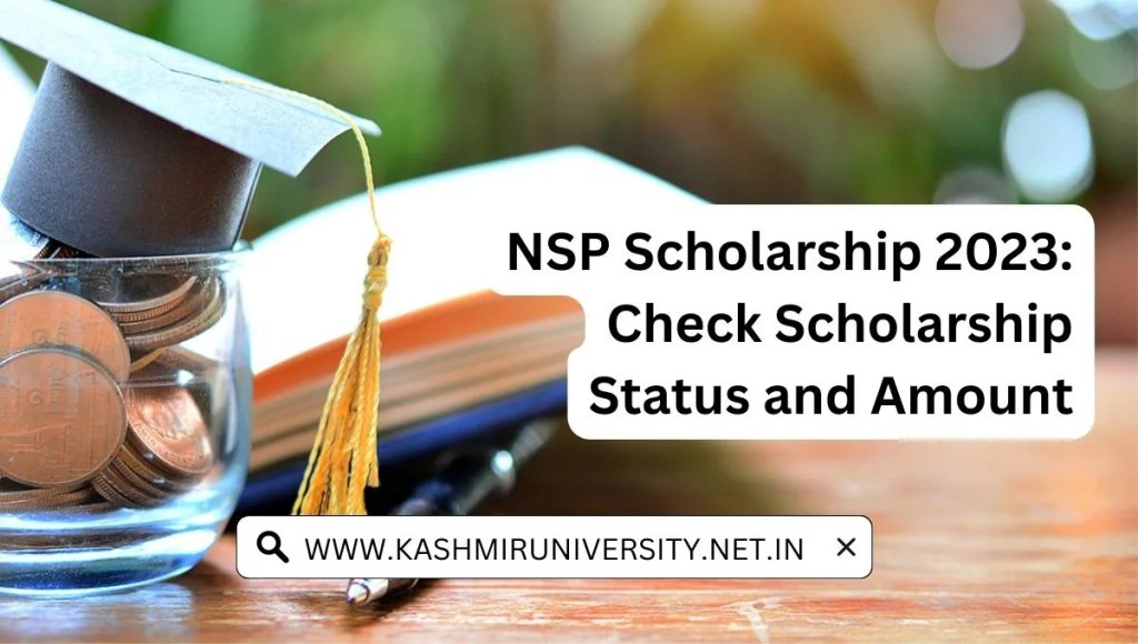 NSP Required Papers 2024 at National Scholarship Website, Total Checklist