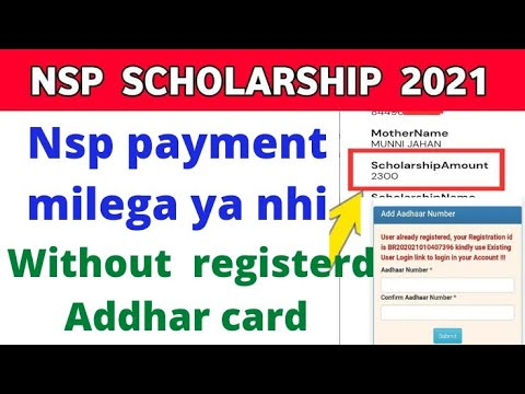NSP Scholarship Payment Release Date 2024- Detailed Guide
