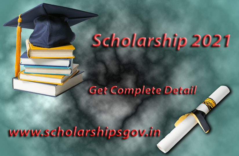 National Scholarship Website 2023-24 NSP Login, Check Condition, Last Day